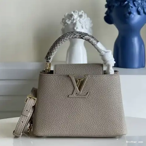 Bags 2110YA0095 LV 0804